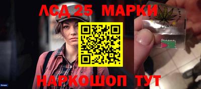молекула духа Будённовск