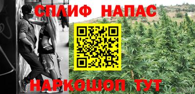 молекула духа Будённовск