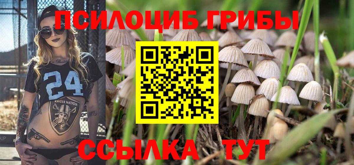 Псилоцибиновые грибы Psilocybe Первоуральск