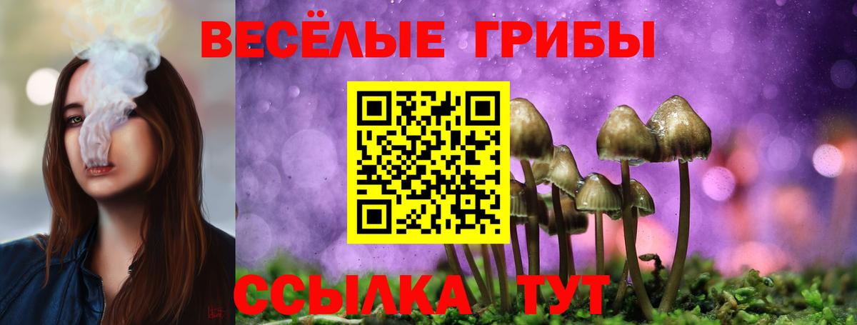 Галлюциногенные грибы Cubensis  Вход с VPN  Первоуральск  Галлюциногенные грибы Psilocybine cubensis 